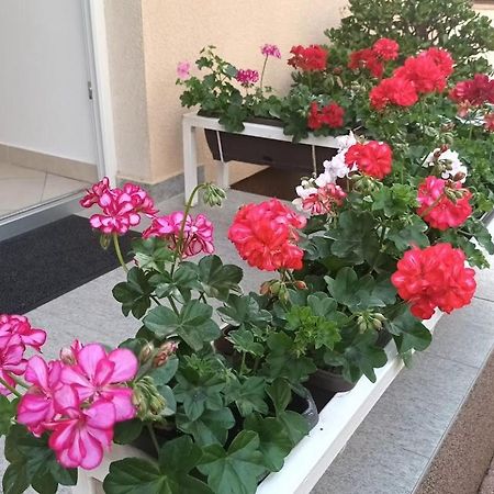 Apartment Marelja - Private Parking And Balcony Zadar Bagian luar foto