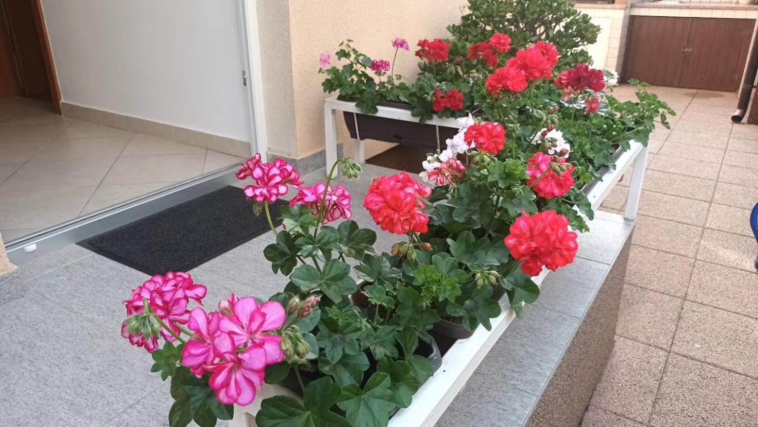 Apartment Marelja - Private Parking And Balcony Zadar Bagian luar foto